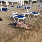 106065991_10223094615703325_173763426286364422_n