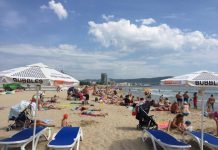 Брутално убийство на делфин в Слънчев бряг СНИМКИ