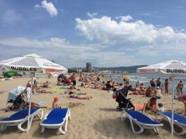 Брутално убийство на делфин в Слънчев бряг СНИМКИ