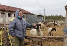 Чума няма! Ани Петрова победи БАБХ във ВАС Чума няма! Ани Петрова победи БАБХ във ВАС