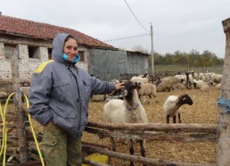 Чума няма! Ани Петрова победи БАБХ във ВАС Чума няма! Ани Петрова победи БАБХ във ВАС