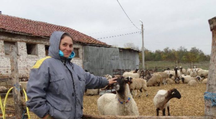 Чума няма! Ани Петрова победи БАБХ във ВАС Чума няма! Ани Петрова победи БАБХ във ВАС