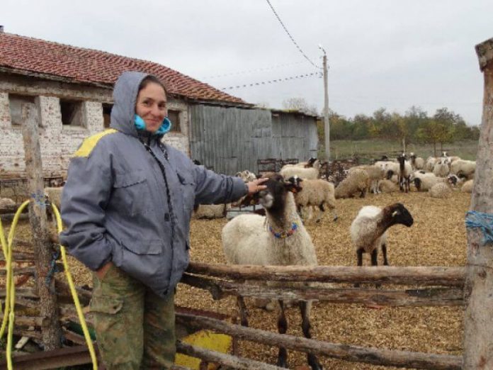 Чума няма! Ани Петрова победи БАБХ във ВАС