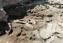 Скелет откриха под ресторант в Пловдив Скелет откриха под ресторант в Пловдив