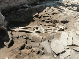 Скелет откриха под ресторант в Пловдив Скелет откриха под ресторант в Пловдив