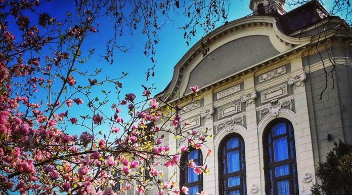 Общинар гази закона и лъже комисията Антикорупция Общинар гази закона и лъже комисията Антикорупция