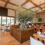 Схемата Осемте джуджета в Пловдив продължава