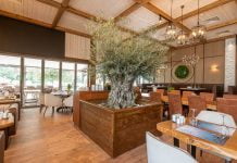 Схемата Осемте джуджета в Пловдив продължава Схемата Осемте джуджета в Пловдив продължава