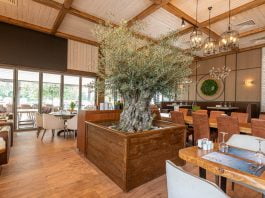 Схемата Осемте джуджета в Пловдив продължава Схемата Осемте джуджета в Пловдив продължава