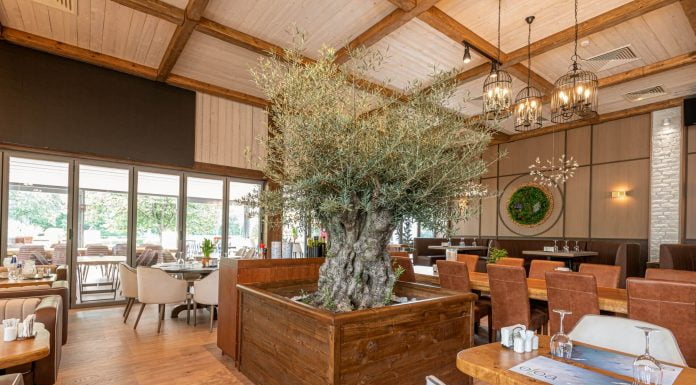 Схемата Осемте джуджета в Пловдив продължава Схемата Осемте джуджета в Пловдив продължава