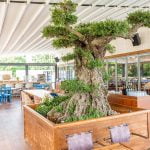 Схемата Осемте джуджета в Пловдив – Част Втора