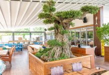 Схемата Осемте джуджета в Пловдив – Част Втора Схемата Осемте джуджета в Пловдив - Част Втора