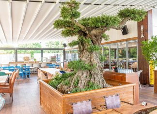 Схемата Осемте джуджета в Пловдив – Част Втора Схемата Осемте джуджета в Пловдив - Част Втора