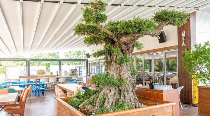 Схемата Осемте джуджета в Пловдив – Част Втора Схемата Осемте джуджета в Пловдив - Част Втора