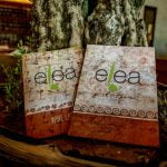 Схемата Осемте джуджета в Пловдив – Част Втора