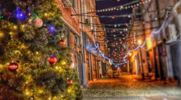 Отворено писмо относно забрана за коледните базари Отворено писмо относно забрана за коледните базари