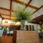 Гръцката прокуратура подхваща кражбата на ресторант „Елеа” в Пловдив