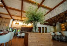 Гръцката прокуратура подхваща кражбата на ресторант „Елеа” в Пловдив Гръцката прокуратура подхваща кражбата на ресторант „Елеа” в Пловдив