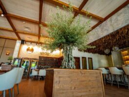 Гръцката прокуратура подхваща кражбата на ресторант „Елеа” в Пловдив Гръцката прокуратура подхваща кражбата на ресторант „Елеа” в Пловдив