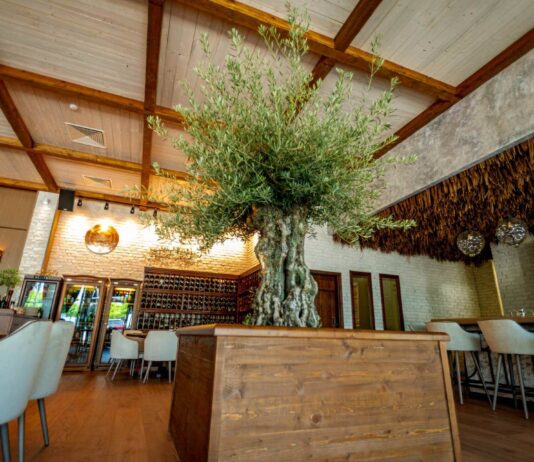 Гръцката прокуратура подхваща кражбата на ресторант „Елеа” в Пловдив Гръцката прокуратура подхваща кражбата на ресторант „Елеа” в Пловдив