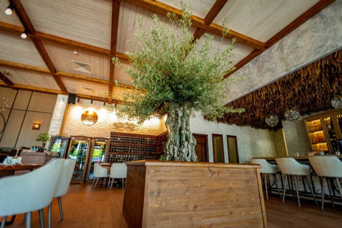 Гръцката прокуратура подхваща кражбата на ресторант „Елеа” в Пловдив