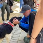  Да бъдем отговорни и да спасим бездомните животни