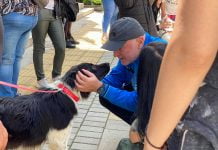  Да бъдем отговорни и да спасим бездомните животни  Да бъдем отговорни и да спасим бездомните животни