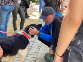  Да бъдем отговорни и да спасим бездомните животни  Да бъдем отговорни и да спасим бездомните животни