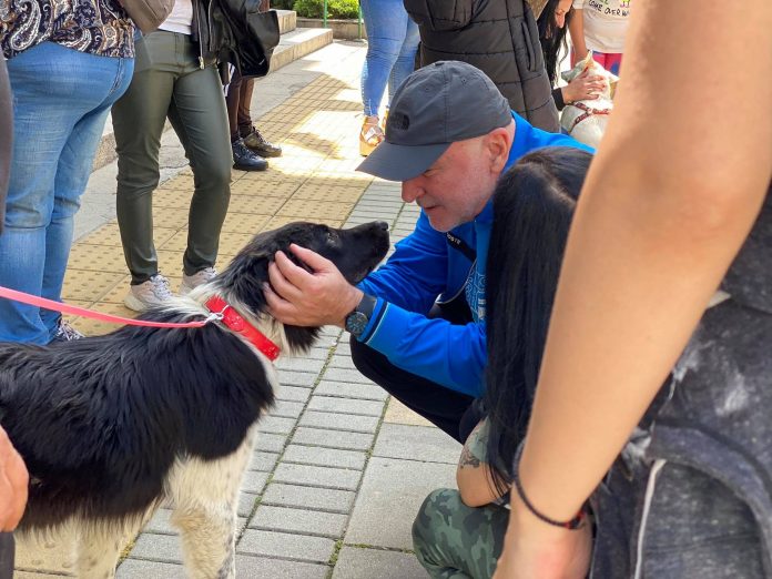 ﻿ Да бъдем отговорни и да спасим бездомните животни