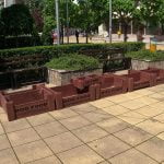 да-спаси﻿ Да бъдем отговорни и да спасим бездомните животним-животните-кричим-2