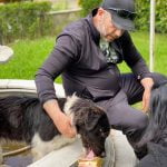  Да бъдем отговорни и да спасим бездомните животни