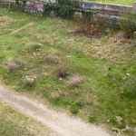 Общоградско почистване: Евтин PR за милиони левове