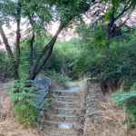 Община Пловдив оправя Младежки хълм след 20 дни