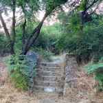 Община Пловдив оправя Младежки хълм след 20 дни