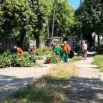 Спасиха дърветата на ул. Вършава от заповед на кмета