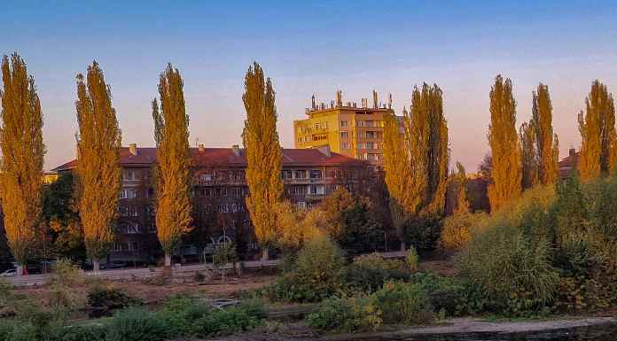 Кмете, почистването на река Марица, вече е изгодно! Кмете, почистването на река Марица, вече е изгодно!