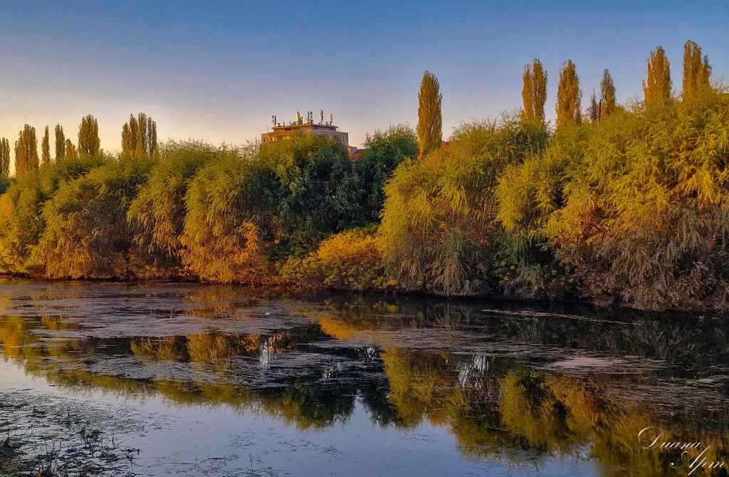 Кмете, почистването на река Марица, вече е изгодно!