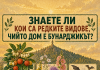 Кои редки видове пази Бунарджикът и какво изисква Планът преди лифт Кои редки видове пази Бунарджикът и какво изисква Планът преди лифт
