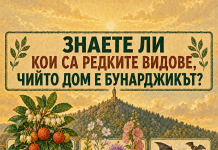 Кои редки видове пази Бунарджикът и какво изисква Планът преди лифт Кои редки видове пази Бунарджикът и какво изисква Планът преди лифт