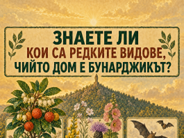 Кои редки видове пази Бунарджикът и какво изисква Планът преди лифт Кои редки видове пази Бунарджикът и какво изисква Планът преди лифт