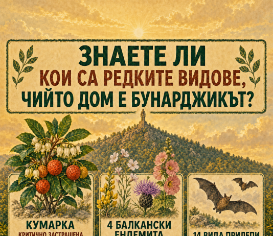Кои редки видове пази Бунарджикът и какво изисква Планът преди лифт Кои редки видове пази Бунарджикът и какво изисква Планът преди лифт