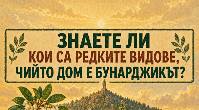 Кои редки видове пази Бунарджикът и какво изисква Планът преди лифт Кои редки видове пази Бунарджикът и какво изисква Планът преди лифт